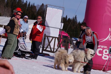 La Pesse 2015 Course de chiens de traineau ( part 2/2 ), DSC08203