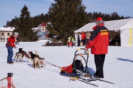 La Pesse 2015 Course de chiens de traineau ( part 2/2 ), DSC08215