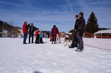 La Pesse 2015 Course de chiens de traineau ( part 2/2 ), DSC08229