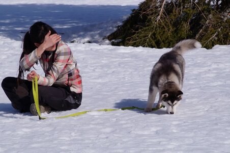La Pesse 2015 Course de chiens de traineau ( part 2/2 ), DSC08236