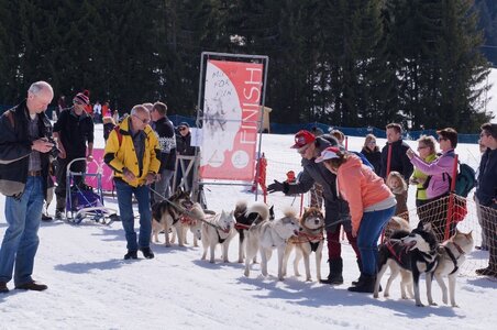 La Pesse 2015 Course de chiens de traineau ( part 2/2 ), DSC08238