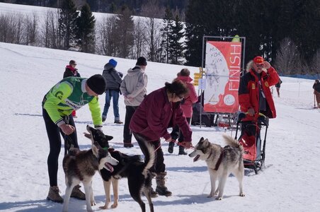 La Pesse 2015 Course de chiens de traineau ( part 2/2 ), DSC08242