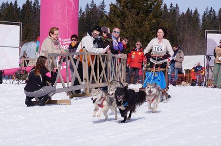 La Pesse 2015 Course de chiens de traineau ( part 2/2 ), DSC08254