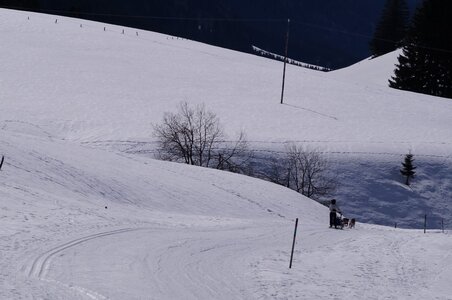 La Pesse 2015 Course de chiens de traineau ( part 2/2 ), DSC08256
