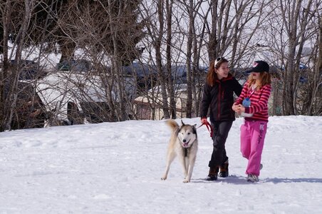 La Pesse 2015 Course de chiens de traineau ( part 2/2 ), DSC08268