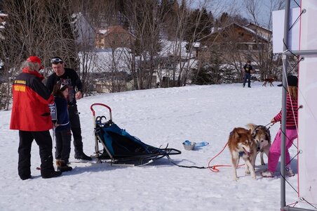 La Pesse 2015 Course de chiens de traineau ( part 2/2 ), DSC08270