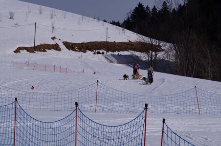 La Pesse 2015 Course de chiens de traineau ( part 2/2 ), DSC08272
