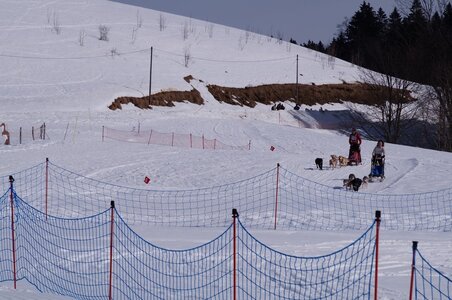 La Pesse 2015 Course de chiens de traineau ( part 2/2 ), DSC08273