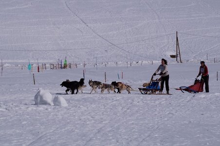 La Pesse 2015 Course de chiens de traineau ( part 2/2 ), DSC08274