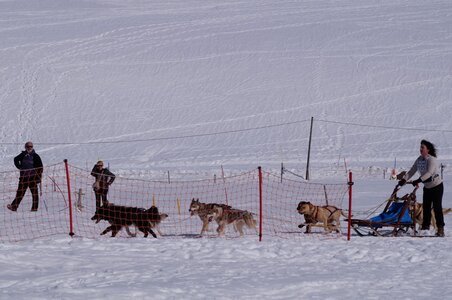 La Pesse 2015 Course de chiens de traineau ( part 2/2 ), DSC08275