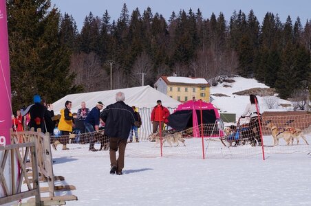 La Pesse 2015 Course de chiens de traineau ( part 2/2 ), DSC08276