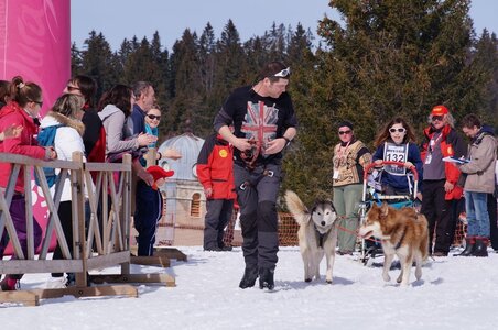 La Pesse 2015 Course de chiens de traineau ( part 2/2 ), DSC08279