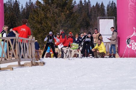 La Pesse 2015 Course de chiens de traineau ( part 2/2 ), DSC08289