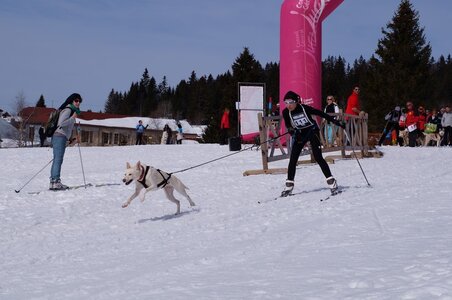 La Pesse 2015 Course de chiens de traineau ( part 2/2 ), DSC08290