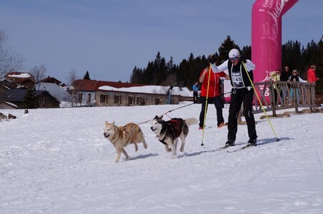 La Pesse 2015 Course de chiens de traineau ( part 2/2 ), DSC08291