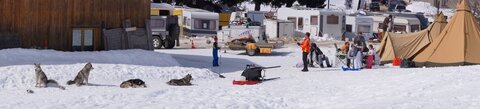 La Pesse 2015 Course de chiens de traineau ( part 2/2 ), DSC08292