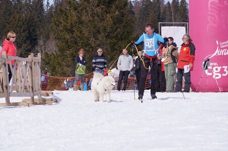 La Pesse 2015 Course de chiens de traineau ( part 2/2 ), DSC08294