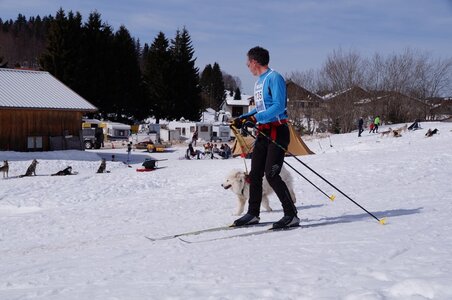 La Pesse 2015 Course de chiens de traineau ( part 2/2 ), DSC08297