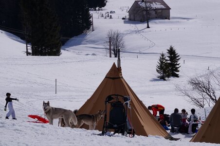 La Pesse 2015 Course de chiens de traineau ( part 2/2 ), DSC08302