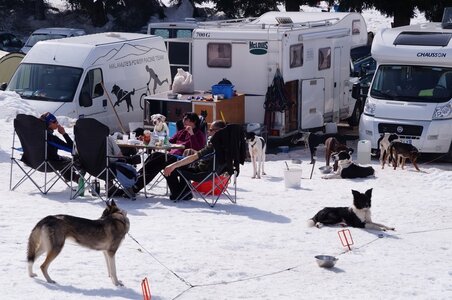 La Pesse 2015 Course de chiens de traineau ( part 2/2 ), DSC08308
