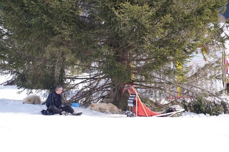 La Pesse 2015 Course de chiens de traineau ( part 2/2 ), DSC08311