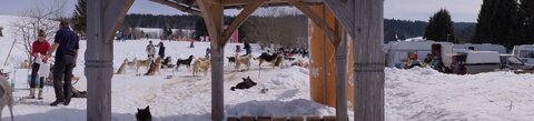 La Pesse 2015 Course de chiens de traineau ( part 2/2 ), DSC08313