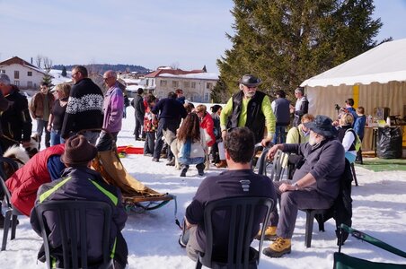 La Pesse 2015 Course de chiens de traineau ( part 2/2 ), DSC08374