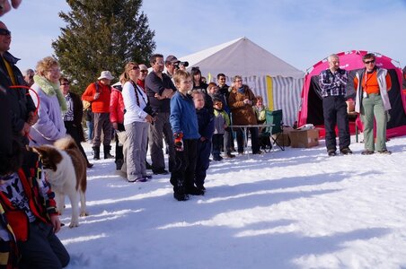 La Pesse 2015 Course de chiens de traineau ( part 2/2 ), DSC08379