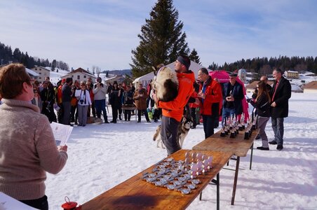 La Pesse 2015 Course de chiens de traineau ( part 2/2 ), DSC08423
