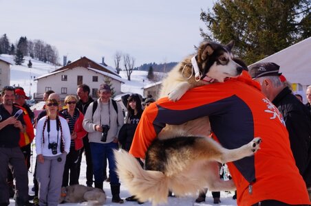 La Pesse 2015 Course de chiens de traineau ( part 2/2 ), DSC08425