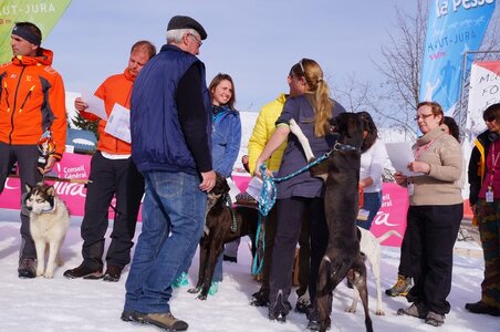 La Pesse 2015 Course de chiens de traineau ( part 2/2 ), DSC08432