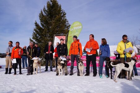 La Pesse 2015 Course de chiens de traineau ( part 2/2 ), DSC08434