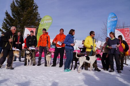La Pesse 2015 Course de chiens de traineau ( part 2/2 ), DSC08435
