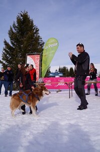 La Pesse 2015 Course de chiens de traineau ( part 2/2 ), DSC08451