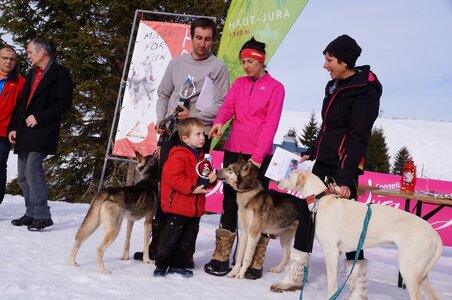 La Pesse 2015 Course de chiens de traineau ( part 2/2 ), DSC08465