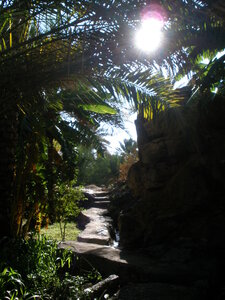 Oman 2011, Oman  41 