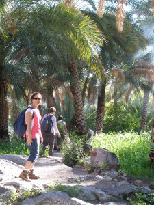 Oman 2011, Oman  42 