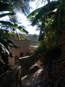 Oman 2011, Oman  43 