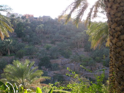Oman 2011, Oman  46 