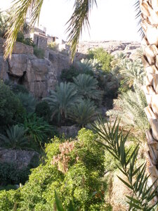 Oman 2011, Oman  48 