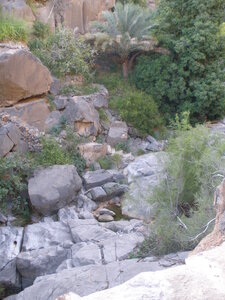 Oman 2011, Oman  49 