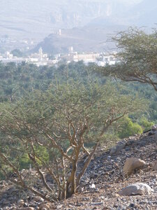 Oman 2011, Oman  64 