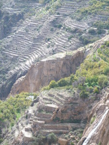 Oman 2011, Oman  98 