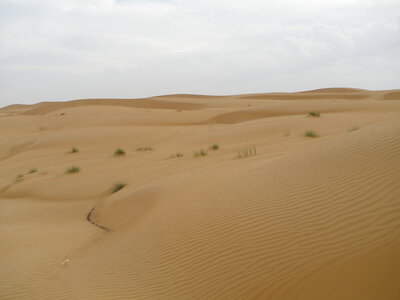 Oman 2011, Oman  152 