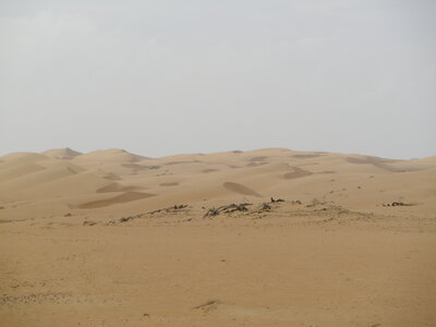 Oman 2011, Oman  154 