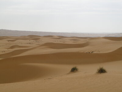 Oman 2011, Oman  163 