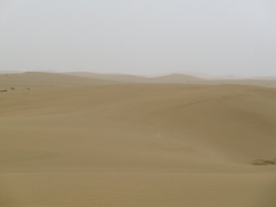 Oman 2011, Oman  173 