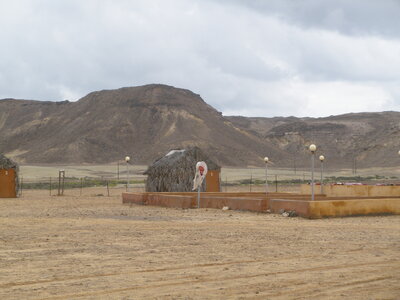 Oman 2011, Oman  197 