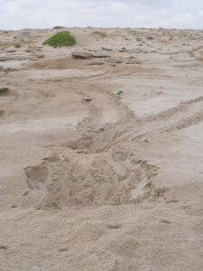 Oman 2011, Oman  210 