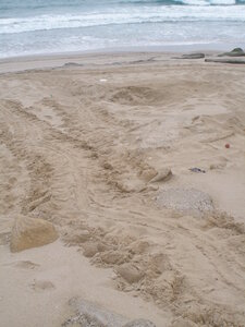 Oman 2011, Oman  223 